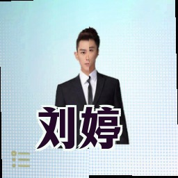 刘婷