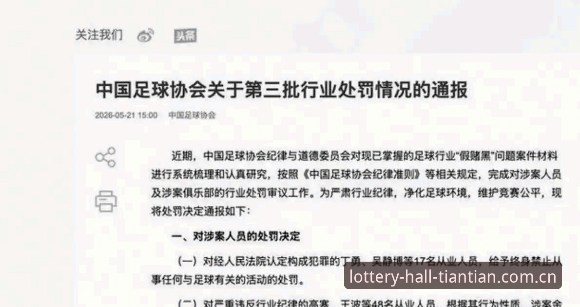 中国足坛禁足风暴深度评测：从17人终身禁赛看行业腐败全貌